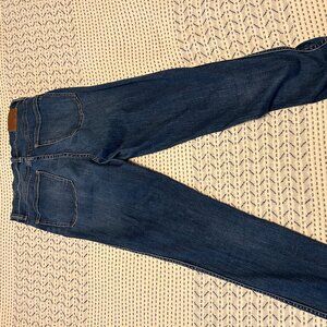 Madewell 10" High-Rise Skinny Blue Jeans, 29TL